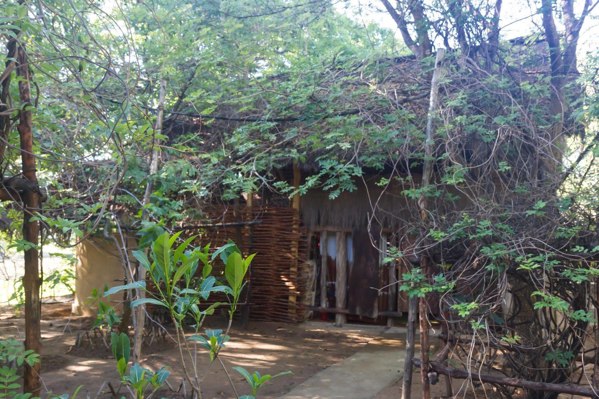 Iharana Bush Camp Hotel Antsiranana Luaran gambar